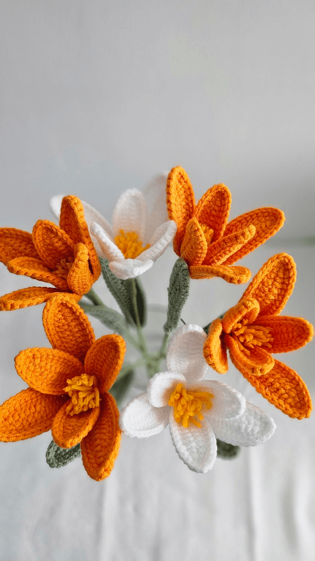 Fleur de tulipe
