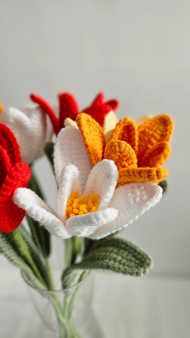 Fleur de tulipe