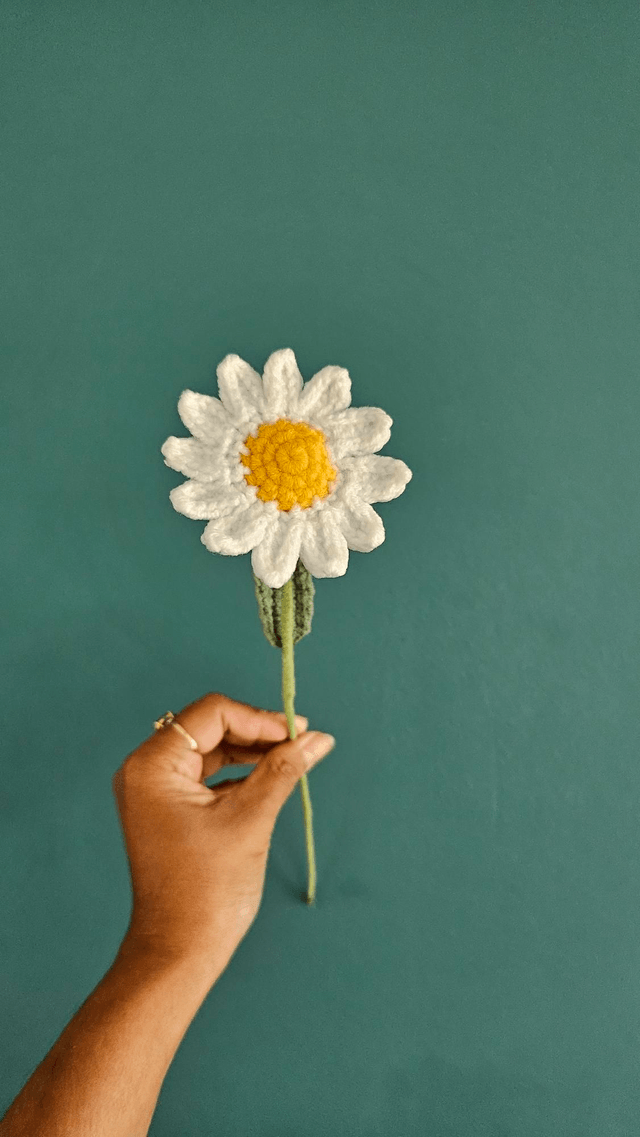Bouquet Marguerites (12 fleurs)