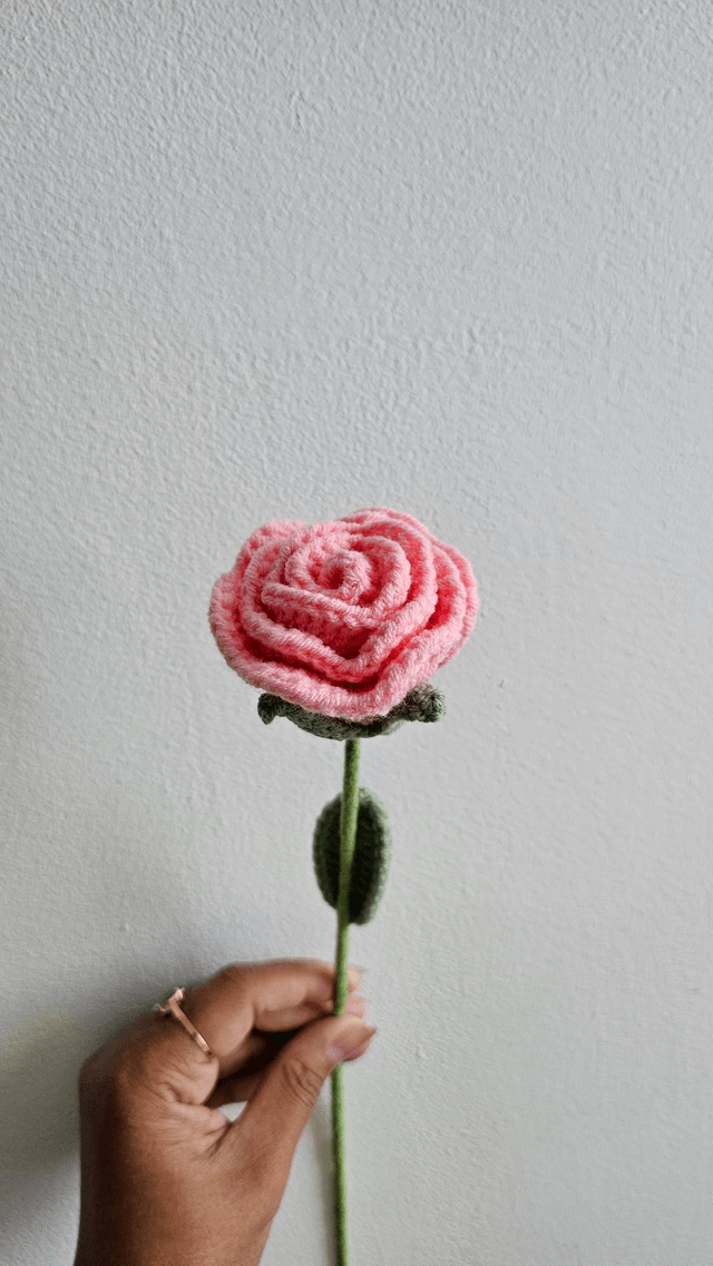 Fleur de rose 