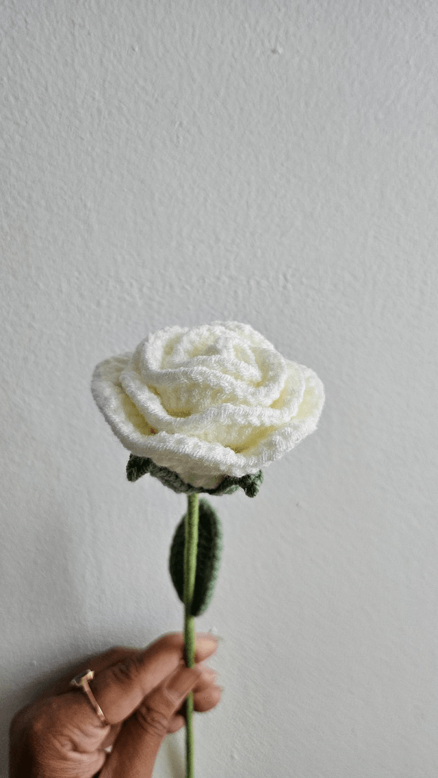 Fleur de rose 