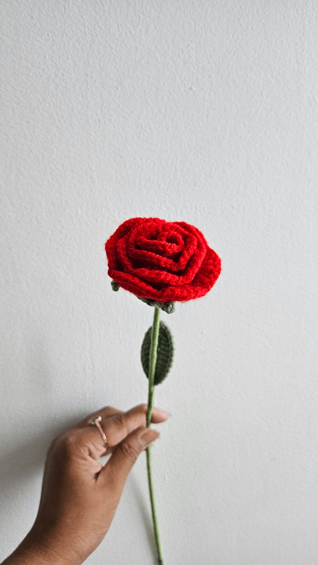 Fleur de rose 