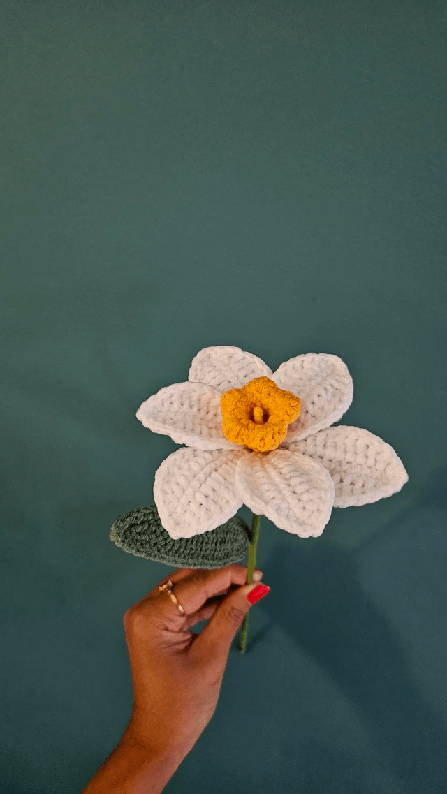 Fleur de Jonquille 