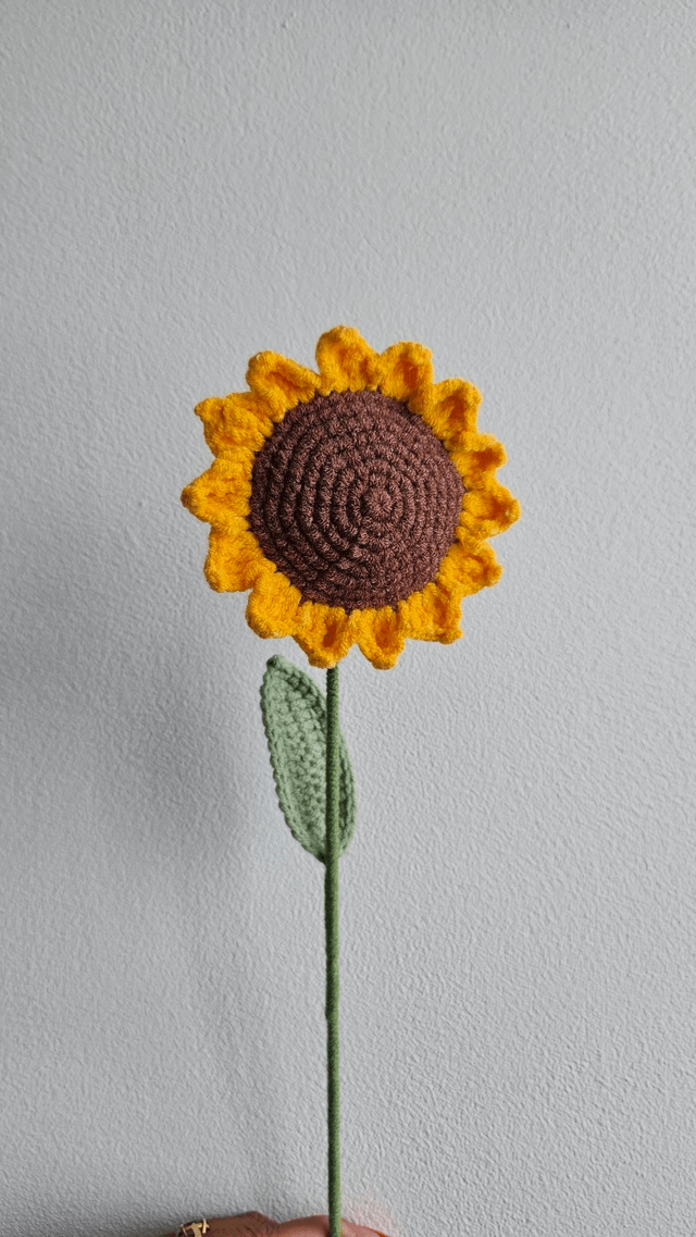Fleur de tournesol