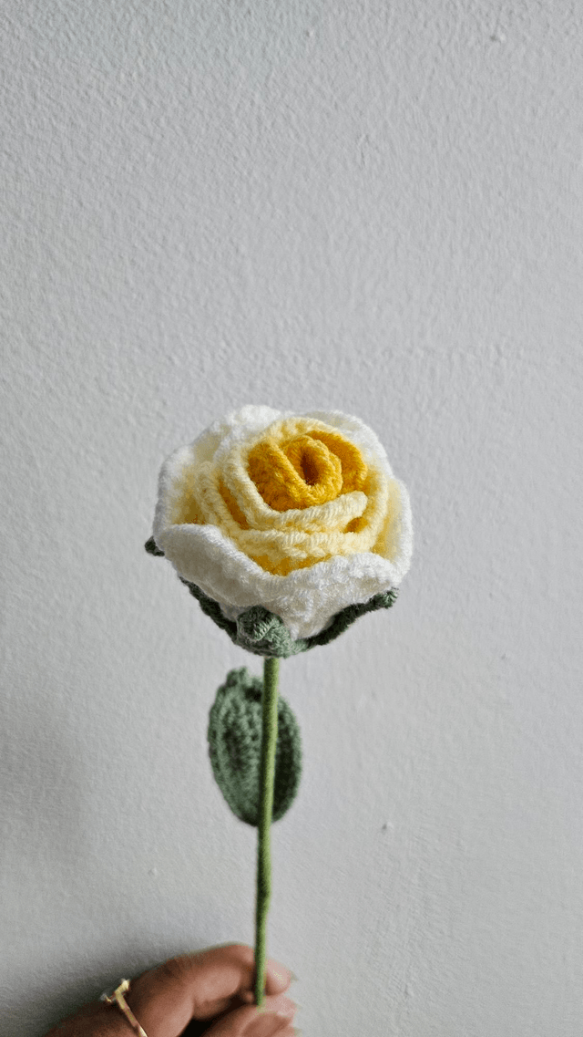 Fleur de rose 