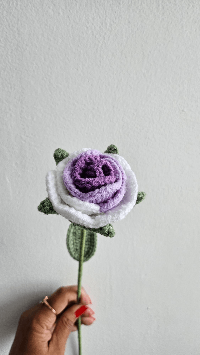 Fleur de rose 