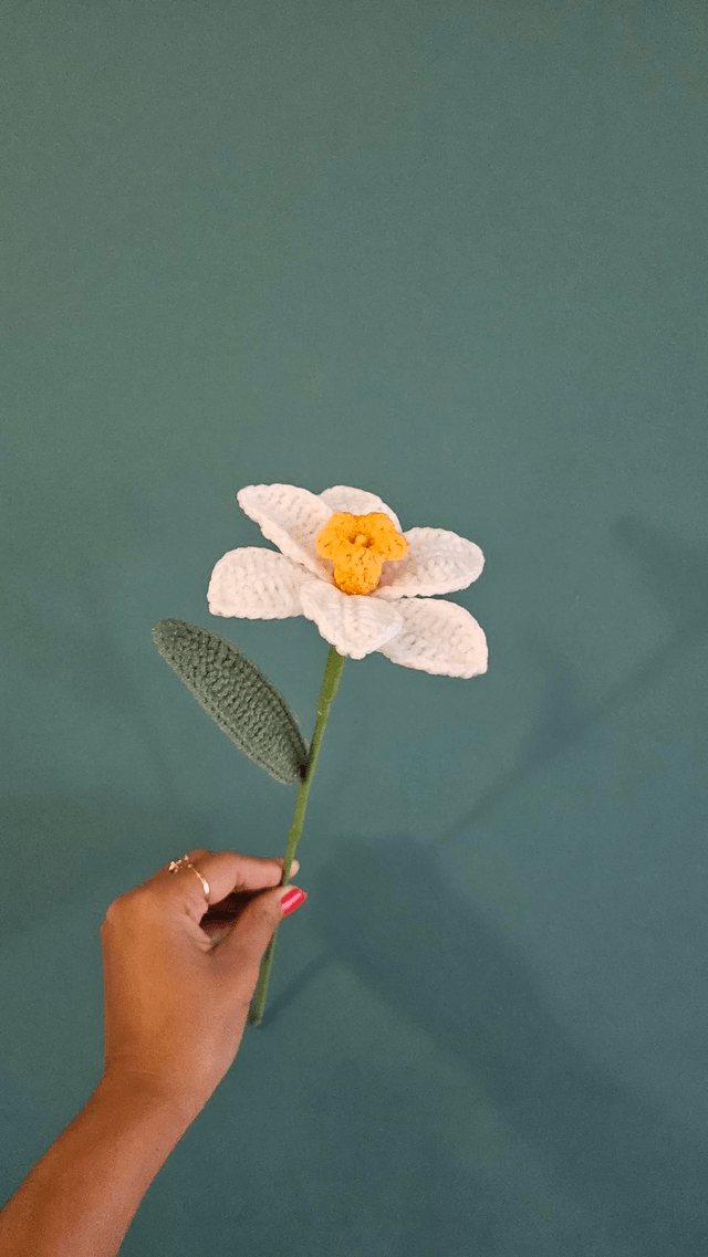 Fleur de Jonquille 