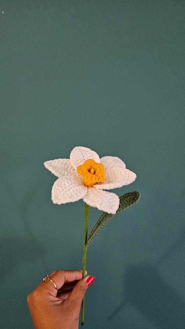 Fleur de Jonquille 