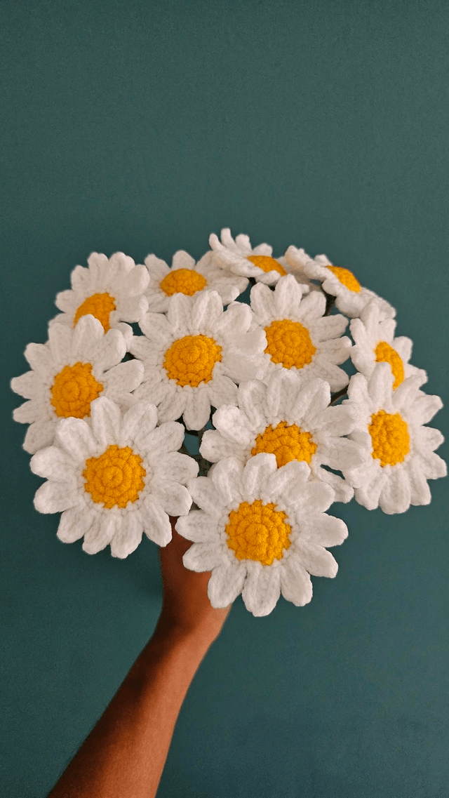 Bouquet Marguerites (12 fleurs)
