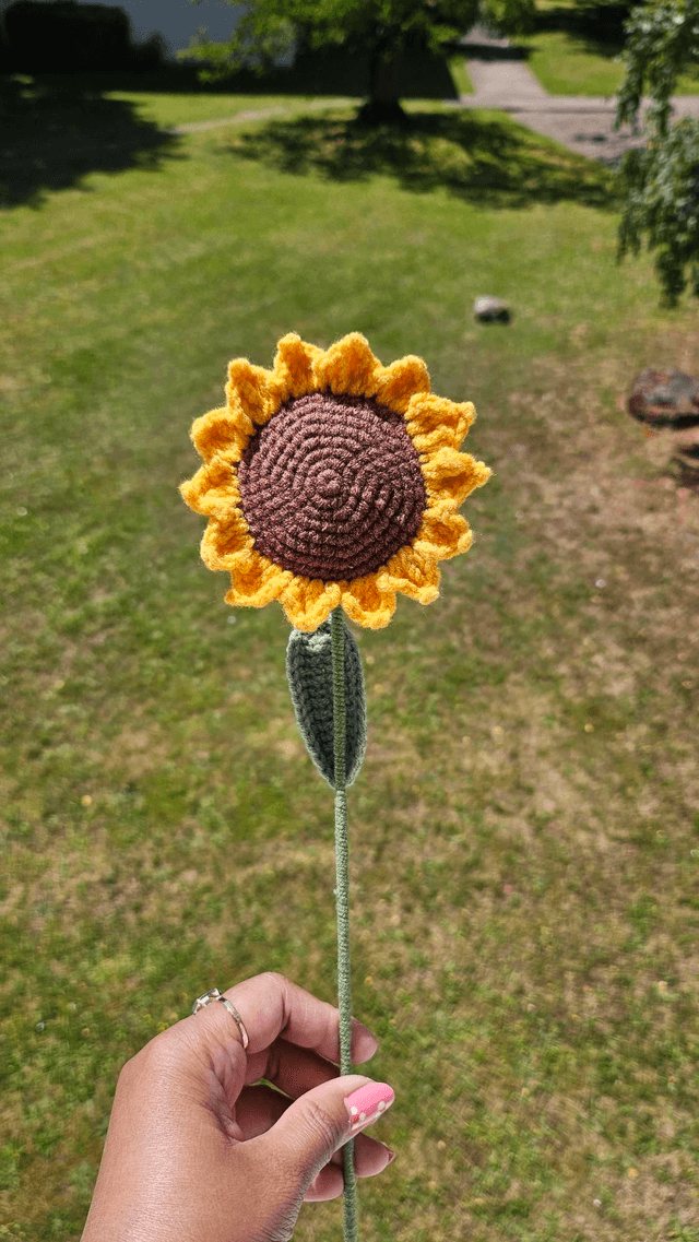 Fleur de tournesol