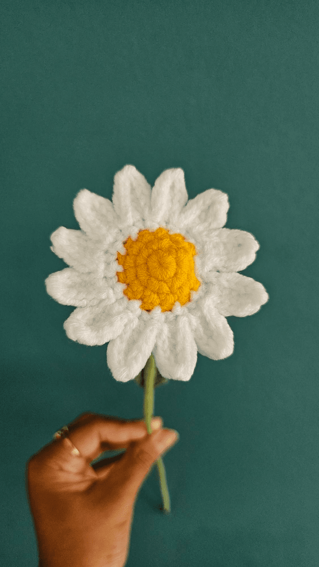 Fleur de Marguerite 