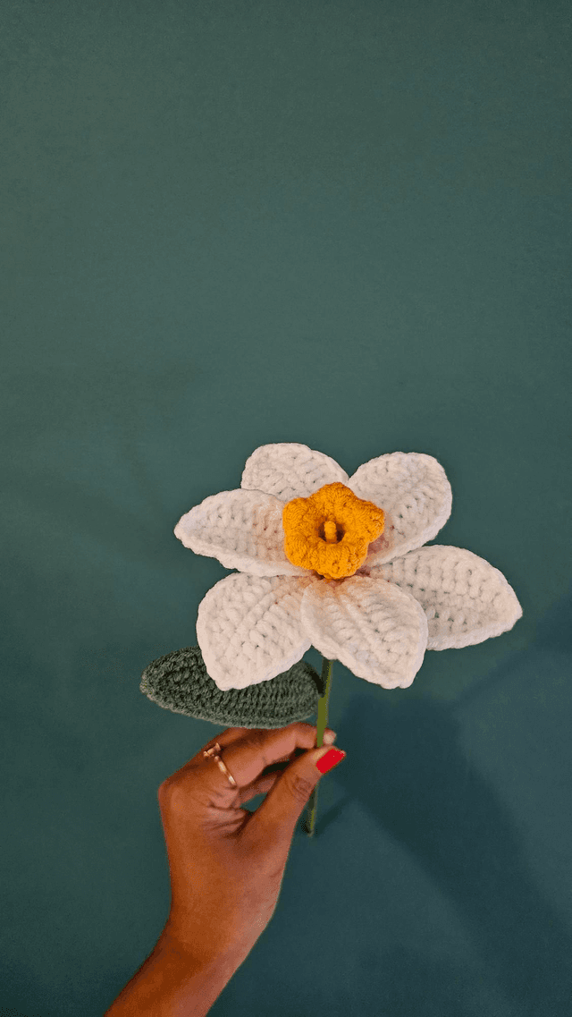 Fleur de Jonquille 