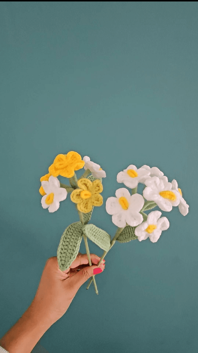 Fleur de myosotis 